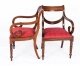 Vintage Set 12 Regency Revival Swag back Dining Chairs 20th Century | Ref. no. A1042 | Regent Antiques