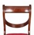 Vintage Set 12 Regency Revival Swag back Dining Chairs 20th Century | Ref. no. A1042 | Regent Antiques