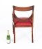 Vintage Set 12 Regency Revival Swag back Dining Chairs 20th Century | Ref. no. A1042 | Regent Antiques