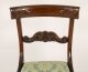 Vintage Set 10  Mahogany Regency Revival  Bar Back Dining Chairs 20th C | Ref. no. A1043K | Regent Antiques