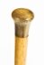 Antique Domed Horn Pommel  / Corkscrew Walking Stick Cane, C1880 81cm/32inch | Ref. no. A1190 | Regent Antiques