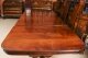 Bespoke 12 ft Three Pillar Mahogany Dining Table and 12 Chairs | Ref. no. A1808a | Regent Antiques