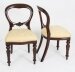 Vintage Extending Dining Table 10 Balloon Back Dining Chairs mid 20th C | Ref. no. A1932a | Regent Antiques