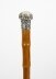 Antique  Silver & Malacca Walking Stick Cane C1880 19th Century | Ref. no. A1965 | Regent Antiques