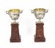 Antique Pair French  Grand Tour Silvered Bronze Pedestal Urns C1860 19th C | Ref. no. A1987 | Regent Antiques