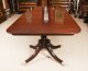Antique Twin Pillar Regency  Dining Table C1820 & 10 Regency Swag Back chairs | Ref. no. A2130b | Regent Antiques