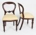 Vintage Set 14 Victorian Revival  Balloon back Dining Chairs 20th C | Ref. no. A2176 | Regent Antiques