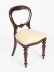 Vintage Set 14 Victorian Revival  Balloon back Dining Chairs 20th C | Ref. no. A2176 | Regent Antiques