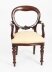 Vintage Set 14 Victorian Revival  Balloon back Dining Chairs 20th C | Ref. no. A2176 | Regent Antiques