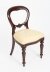 Vintage Set 14 Victorian Revival  Balloon back Dining Chairs 20th C | Ref. no. A2176 | Regent Antiques