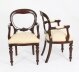 Vintage Set 14 Victorian Revival  Balloon back Dining Chairs 20th C | Ref. no. A2176 | Regent Antiques