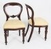 Vintage Set 12 Victorian Revival Balloon back Dining Chairs 20th C | Ref. no. A2176a | Regent Antiques