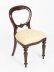 Vintage Set 12 Victorian Revival Balloon back Dining Chairs 20th C | Ref. no. A2176a | Regent Antiques