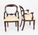 Vintage Set 12 Victorian Revival Balloon back Dining Chairs 20th C | Ref. no. A2176a | Regent Antiques