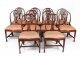 Vintage Set 10 English Mahogany Regency Dining Chairs Mid 20th Century | Ref. no. A2197 | Regent Antiques