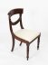 Vintage Set 8 Regency Revival Swag back Dining Chairs 20th Century | Ref. no. A2406a | Regent Antiques