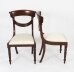 Vintage Set 8 Regency Revival Swag back Dining Chairs 20th Century | Ref. no. A2406a | Regent Antiques
