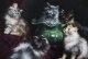 Antique Painting by Agnes Augusta Talboys of Persian Kittens  19th C | Ref. no. A2550a | Regent Antiques
