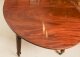 Antique Regency Concertina Action Dining Table & 10 chairs 19th C | Ref. no. A2835a | Regent Antiques