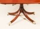 Antique 12ft Regency  Triple Pillar Dining Table & 12 Chairs  19th C | Ref. no. A2930a | Regent Antiques