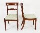 Antique Set 8 Regency Period  Dining Chairs C1830 19th Century | Ref. no. A3162 | Regent Antiques