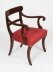 Vintage  Set 12 English Regency Revival Bar Back Dining Chairs 20th C | Ref. no. A3337 | Regent Antiques