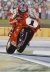 Large Print of Carl Fogarty on Ducati by Colin Carter 1995 | Ref. no. A3343c | Regent Antiques