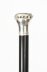 Antique Napoleon Bonaparte Silver Walking Stick Cane C1840 19th Century | Ref. no. A3366 | Regent Antiques