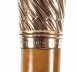 Antique Walking Stick Cane 9 Ct Gold Pommel by Brigg Late 19th Century | Ref. no. A3392c | Regent Antiques