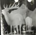 Vintage Pair of Etched Stuart Crystal Glass Liqueur Decanters   20th C | Ref. no. A3461 | Regent Antiques