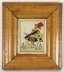Set of 8 Antique Hand-Tinted Engravings of Theatrical Characters 19th C | Ref. no. A3553 | Regent Antiques