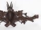 Antique Hand Carved Black Forest Chamois Goat\