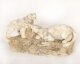 Antique  Art Deco Alabaster Sculpture of a Pair of Lioness  C1920 | Ref. no. A3894 | Regent Antiques