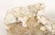 Antique  Art Deco Alabaster Sculpture of a Pair of Lioness  C1920 | Ref. no. A3894 | Regent Antiques