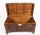 Antique Chinese Carved Camphor wood Trunk Coffer 20th Century | Ref. no. A4063 | Regent Antiques