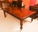Antique William IV Mahogany Dining Table Circa 1830 & 10 Dining Chairs | Ref. no. A4176a | Regent Antiques