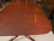 Antique 13ft Regency Triple Pillar Dining Table 19th C & 14 Chairs  20th C | Ref. no. A4212b | Regent Antiques
