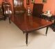 Antique 12ft Imperial Style Extending Dining Table C1810 & 12 Chairs 20thC | Ref. no. A4236a | Regent Antiques