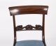 Antique Set 8 English William IV  Barback Dining Chairs Circa 1830  19th C | Ref. no. A4301 | Regent Antiques