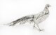 Antique  Continental 800 Silver Pheasant 19th Century | Ref. no. A4344 | Regent Antiques