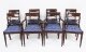 Antique Set 8 Regency Period  Dining Chairs C1820 19th Century | Ref. no. A4446 | Regent Antiques