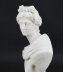 Antique Italian Alabaster Marble Bust of Greek God Apollo Belvedere 19th Century | Ref. no. A4447 | Regent Antiques