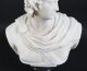 Antique Italian Alabaster Marble Bust of Greek God Apollo Belvedere 19th Century | Ref. no. A4447 | Regent Antiques