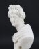 Antique Italian Alabaster Marble Bust of Greek God Apollo Belvedere 19th Century | Ref. no. A4447 | Regent Antiques