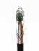 Antique French Art Nouveau Siver Handled Walking Stick 19thC 90cm 35.5 inches | Ref. no. A4544 | Regent Antiques