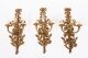 Antique Set of 6 French Louis Revival 3 Branch Ormolu Wall Lights  20th C | Ref. no. A4551 | Regent Antiques
