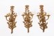 Antique Set of 6 French Louis Revival 3 Branch Ormolu Wall Lights  20th C | Ref. no. A4551 | Regent Antiques