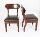 Antique Set 8 English William IV  Barback Dining Chairs Circa 1830  19th C | Ref. no. A4731 | Regent Antiques