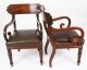 Antique Set 8 English William IV  Barback Dining Chairs Circa 1830  19th C | Ref. no. A4731 | Regent Antiques