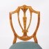 Antique Set 8 Shieldback Satin wood Dining Chairs Cowtan & Sons 19th C Antique Set 8 Shieldback Satin wood Dining Chairs Cowtan & Sons 19th C | Ref. no. A4734 | Regent Antiques